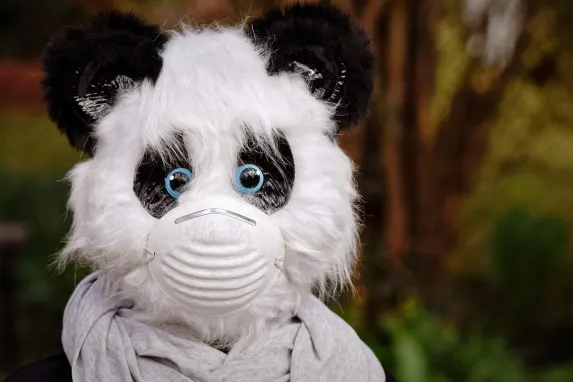 Vegadream Casino Assistance